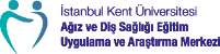 Alternate Text